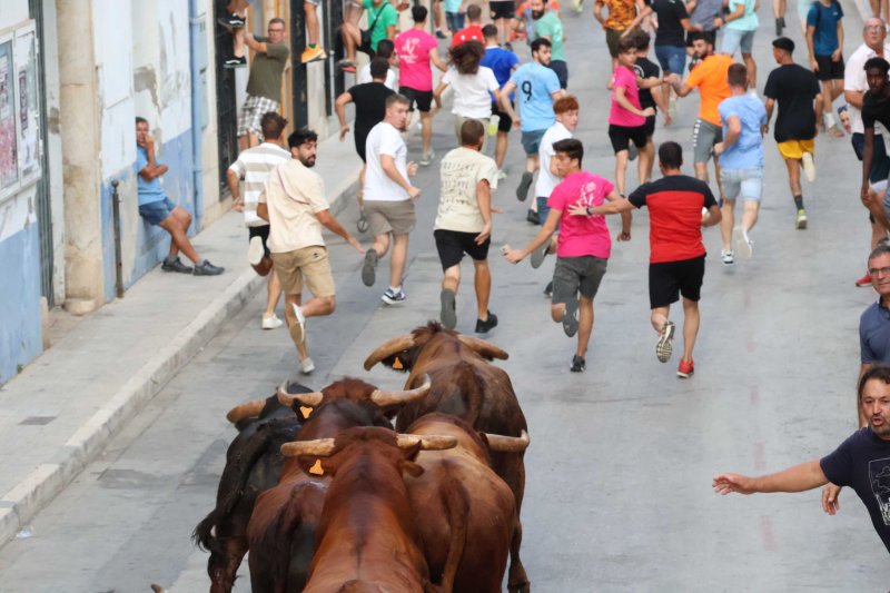 Els Coves s’enduu tots els premis del Concurs de Ramaderies de les Festes de Pedreguer Els Coves s’enduu tots els premis del Concurs de Ramaderies de les Festes de Pedreguer